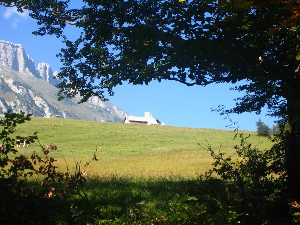 Zimmer & Z'Morgae Schoenenboden Wildhaus Exteriér fotografie